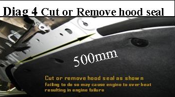 Diag 4 Cut or Remove hood seal