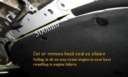 Diagram 3 – Cut or Remove hood seal